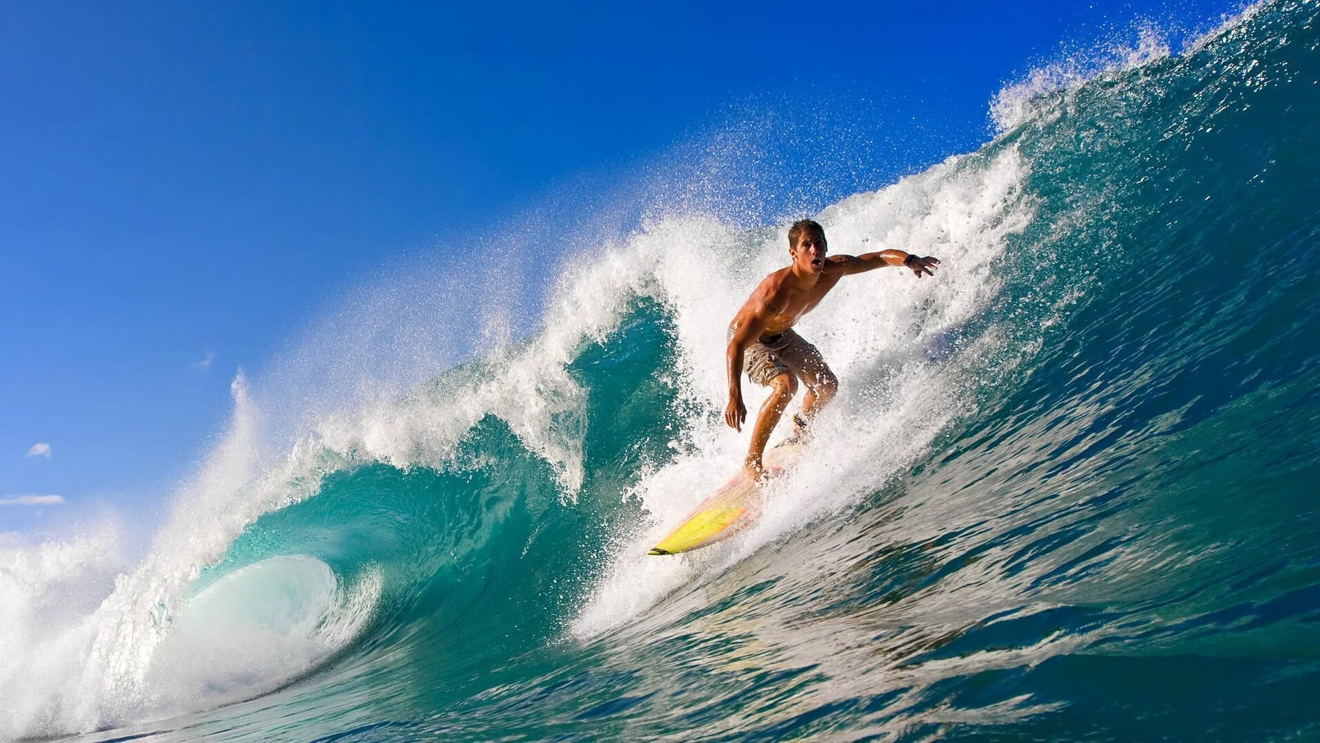 库里:带领勇士开启“水花奇迹”时代!,库里花心